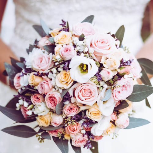 Resort & Co.株式会社